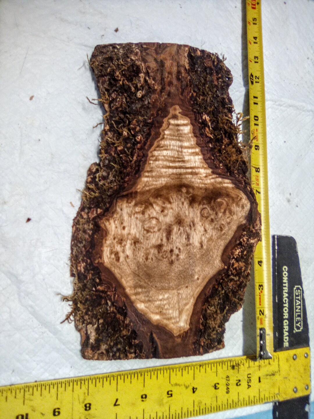 Myrtlewood Burl Clock Face painting Plaque Etsy