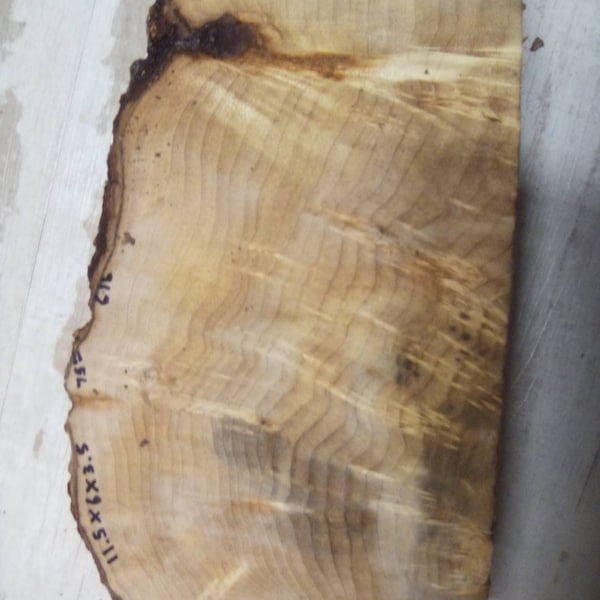 Myrtlewood Burl Turning Stock 11.5"x6"x3.5"