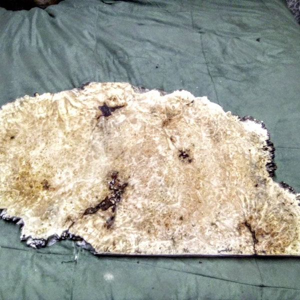 L#1 Maple Pin Burl Slab 29"x16"x1.25"