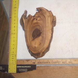 May include: A natural wood slice with a unique, organic shape. The wood features a rich, brown color with lighter grain patterns and a dark center. The slice is approximately 8 inches long, and is ideal for rustic decor or craft projects.