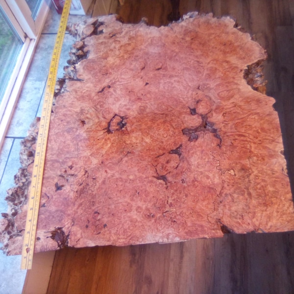 1  Figured ,Maple  Burl Slice 26"x24"x1.5" Some Elegant Inklines..Epoxy burl table...