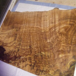 May include: A piece of wood veneer with a unique grain pattern. The wood is a light brown color with darker brown streaks and swirls. The veneer is flat and smooth.