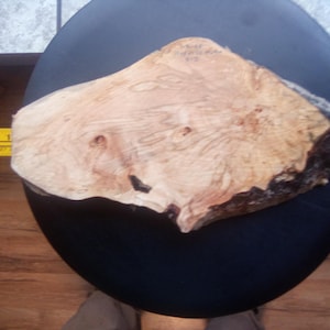 May include: A close-up of a light brown wood slice with a dark brown bark edge. The wood has a unique grain pattern and is approximately 10 inches in diameter.