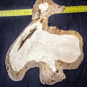 May include: A large, light brown wood slab with a unique, irregular shape. The wood has a natural, rustic look with a light brown color and a few darker brown streaks. The slab is about 12 inches wide and 18 inches long.