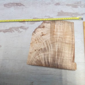 May include: A piece of wood with a natural grain pattern. The wood is light brown in color and has a rough texture. The wood is approximately 12 inches long and 8 inches wide. A tape measure and ruler are used to show the size of the wood.