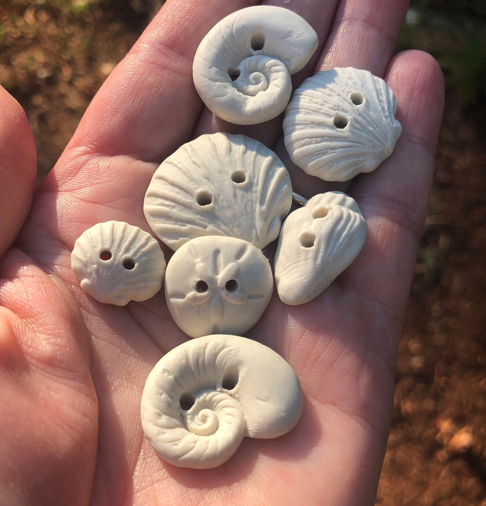 Porcelain Seashell Buttons-shell Ivory Artisan Buttons-shell Button ...
