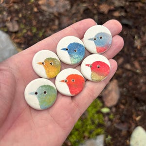 Può includere: Sette bottoni rotondi bianchi con disegni di uccelli colorati. Gli uccelli sono dipinti in tonalità di blu, rosso, arancione, verde e giallo. Questi bottoni sono probabilmente per cucire o per progetti di artigianato.