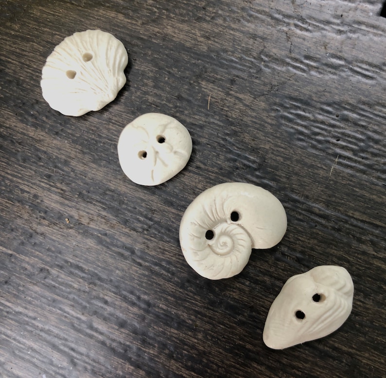 Porcelain Seashell Buttons-shell Ivory Artisan Buttons-shell Button ...