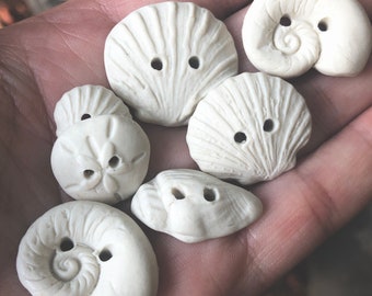 Porcelain Seashell Buttons-Shell Ivory Artisan Buttons-shell button scallop buttons-sand dollar button-conch button-sealife button-seashell
