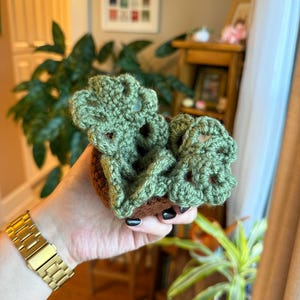 May include: A handmade crochet item, featuring a brown base and a green, openwork design. The item is held in a hand, showcasing the texture and detail of the yarn. The overall aesthetic suggests a craft or home decor item.