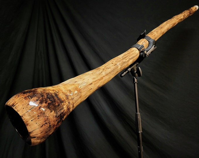 Endlessbreath Agave Didgeridoo in C Etsy