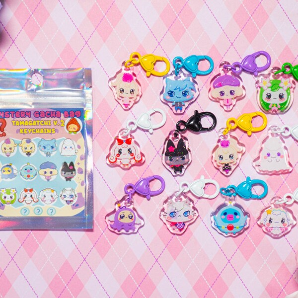 Version 2 of Mystery bag, very mysterious cute Keychain, Cute/ Kawaii/ Cute Charm/ Collectible