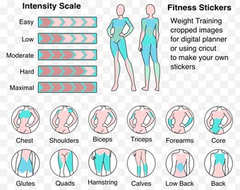 Adesivi per allenamento con i pesi: Fitness Tracker SVG PNG per Cricut (download digitale)