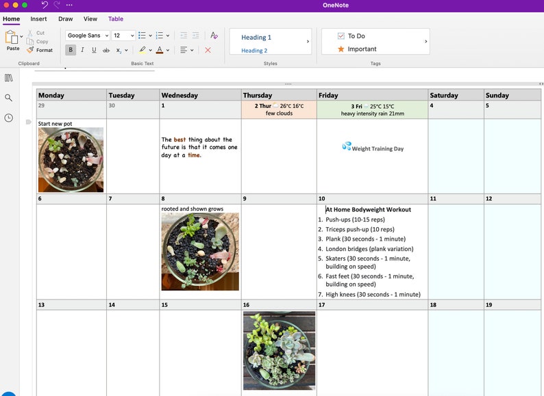 Editable onenote 2025 calendar monthly planner digital planner