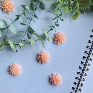 Ensemble de 6 autocollants en feutre fleurs, autocollant en feutre, autocollant, fleur en feutre, autocollant pour agenda, fournitures pour journal, autocollant pour plantes succulentes, papeterie