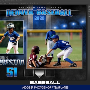 Baseball Memory Mate &quot;Platinum&quot;