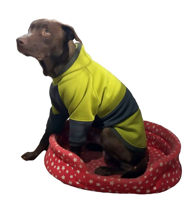 Hoodie Sweater Sweatshirt for Medium and Large Dogs L5XL Etsy