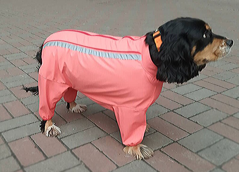 Full Body Dog Raincoat with hood Winter Dog Coat Custom dog Etsy