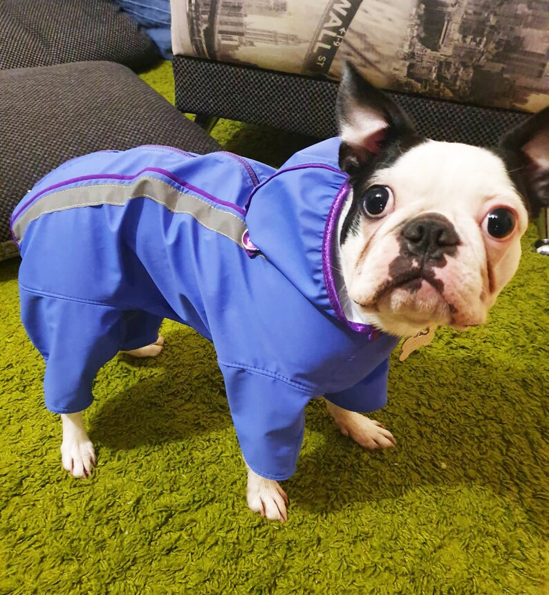 Full Body Dog Raincoat with hood Winter Dog Coat Custom dog Etsy