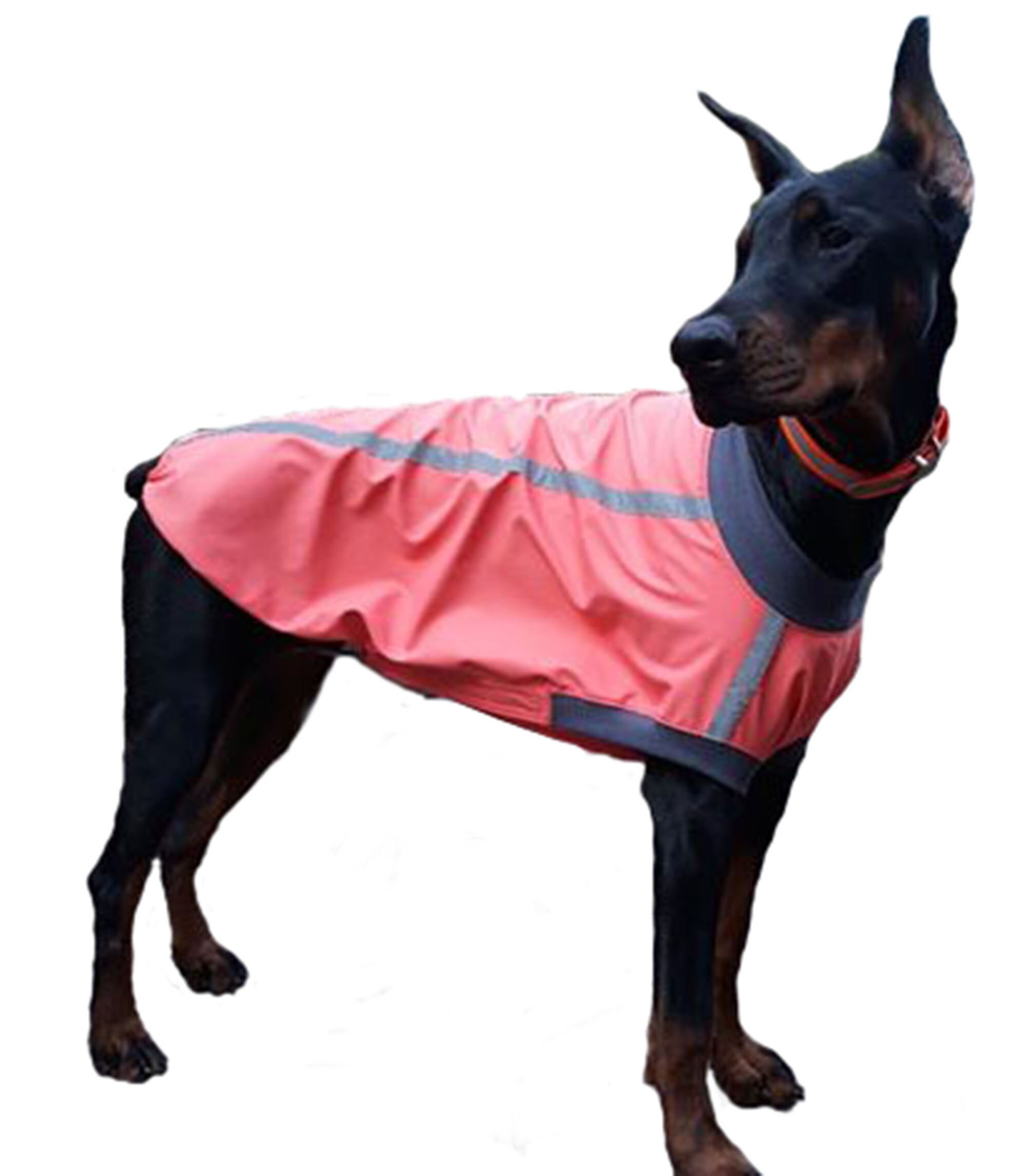 etsy large dog clothes