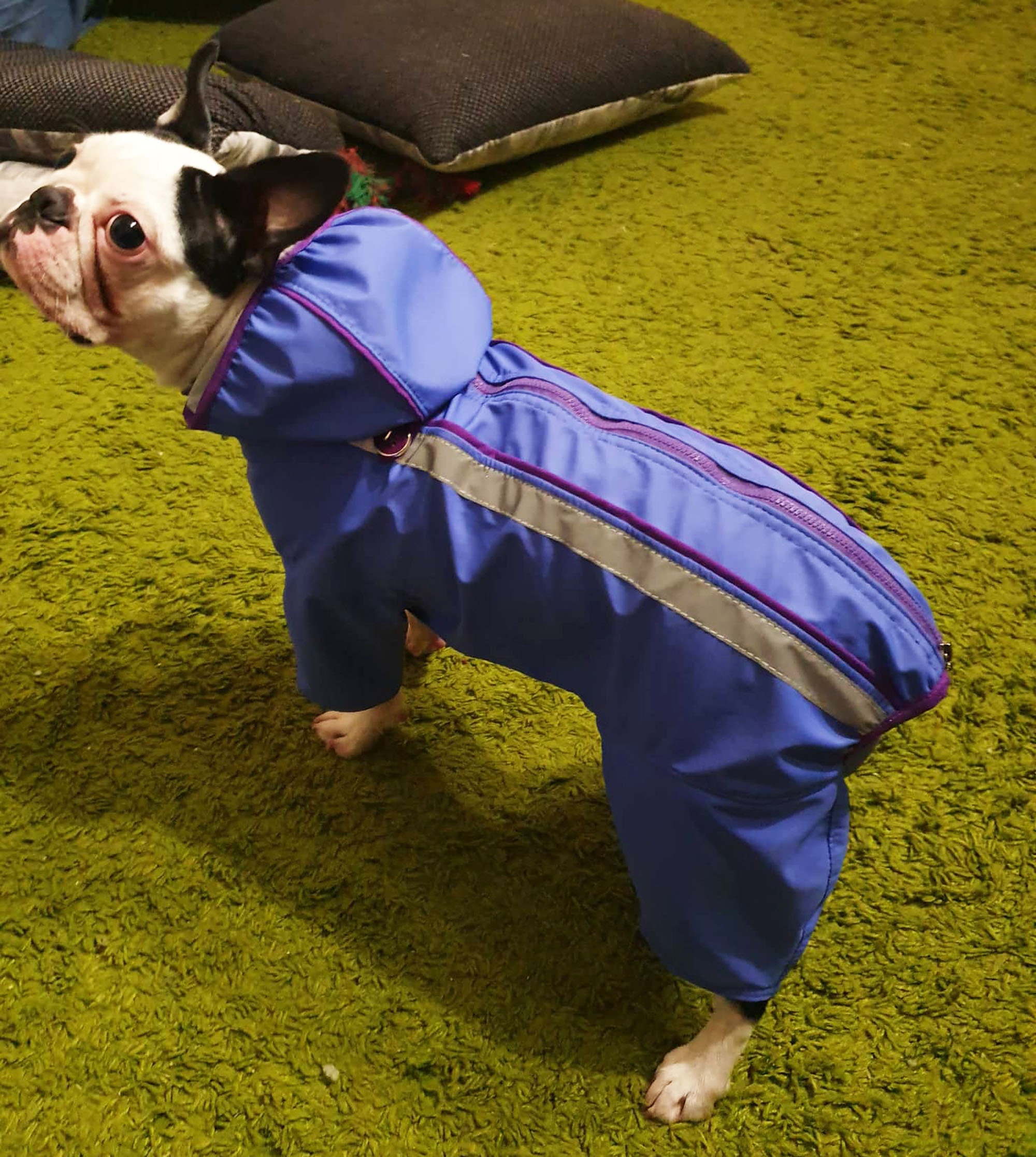 Full Body Dog Raincoat With Hood Winter Dog Coat Custom Dog Etsy