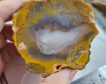 Kentucky moss agate with yellow and pink banding, UV REACTIVE cut and unpolished