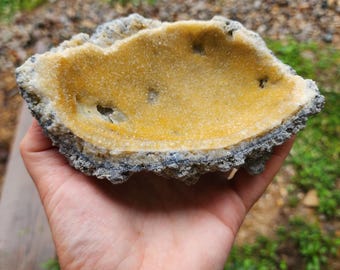 Calcite Whelk Fossil UV Reactive