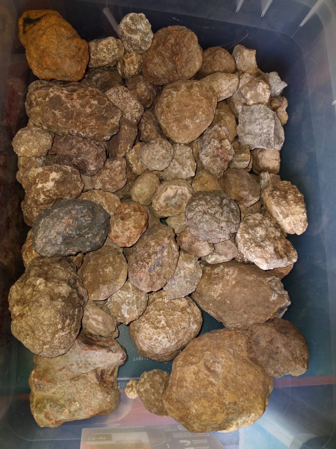 Whole Estill County Agates Etsy