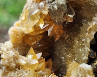 Calcite Whelk Fossil UV Reactive
