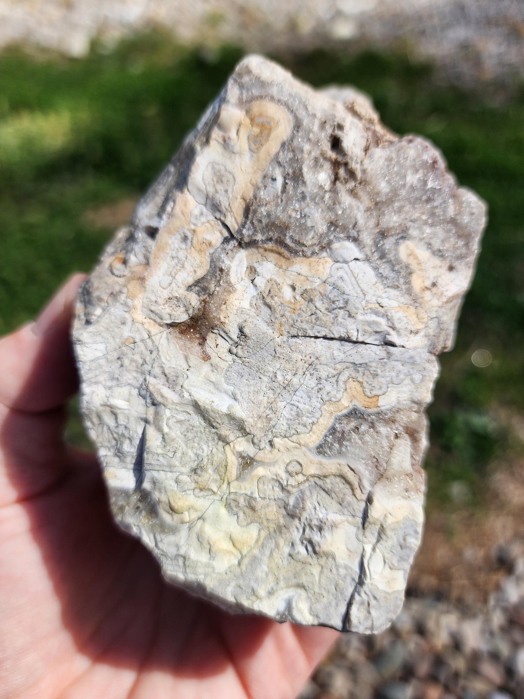 Rough Mexican Crazy Lace Agate Specimen - Etsy