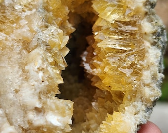 Calcite Whelk Fossil UV Reactive