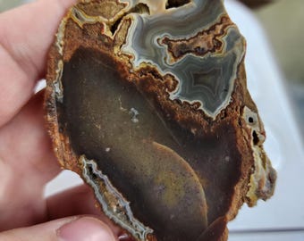 Kentucky blue moss agate, cut and unpolished