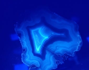 Uv Reactive Polished Mexican Agate Specimen Blue & White