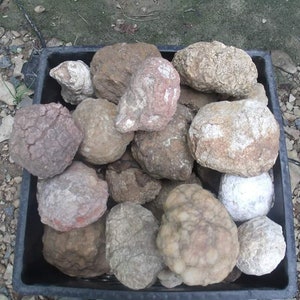 Break Your Own Geodes! BOX SET WITH HAMMER  Raw, Uncut Crystal Geode –  Sluiceboy Prospecting LLC