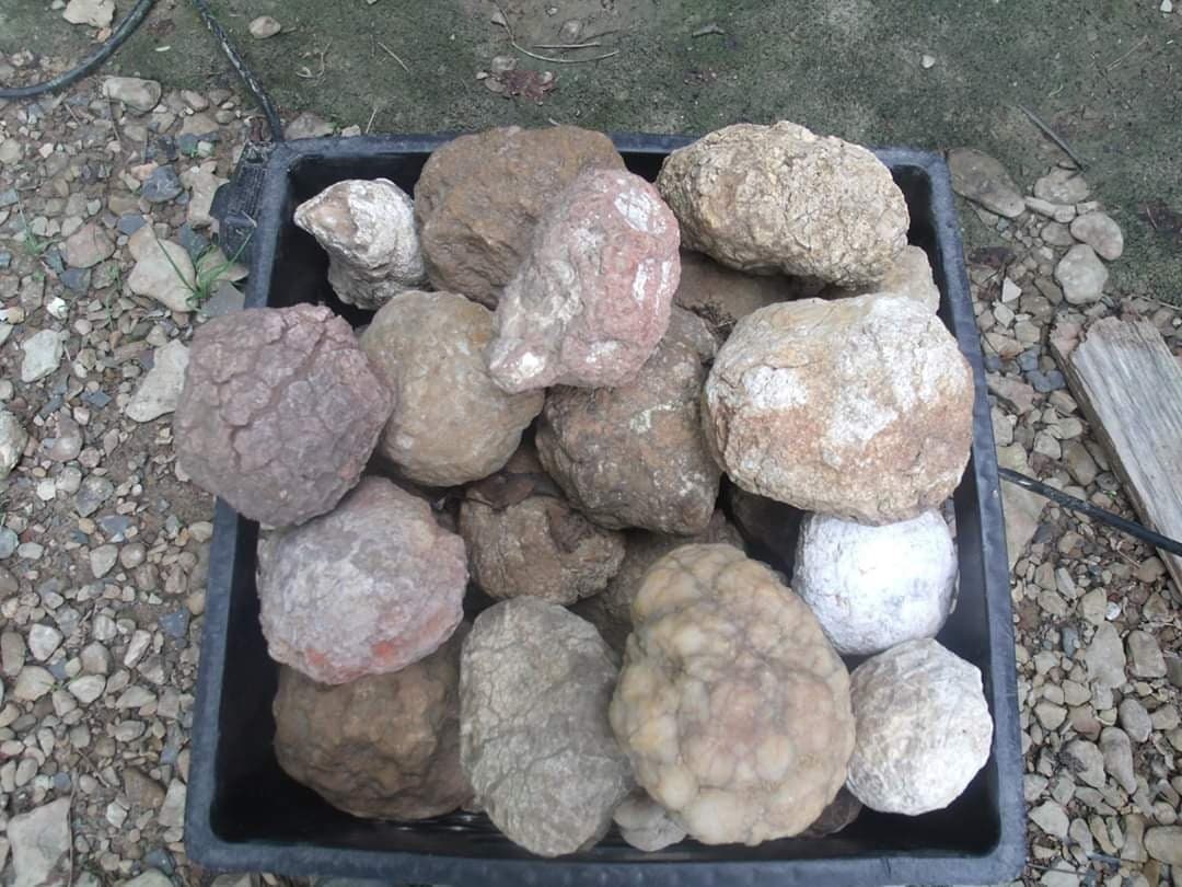 Geodes Ky Break Your Own Kentucky Geodes - Etsy