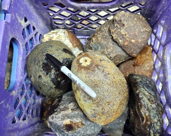 Whole Large Brazilian Agates