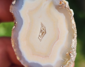 Polished Mexican Agate Specimen