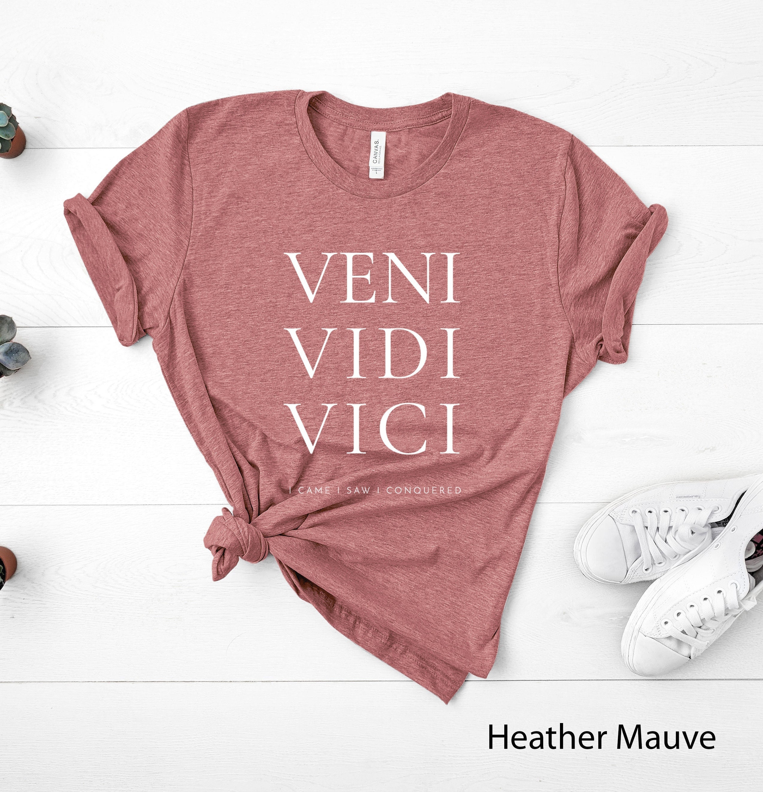 1 LEFT Vidi Vici Veni men's Humor T-shirt -  Israel