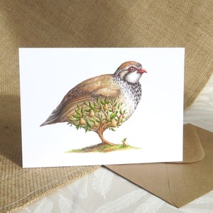 Birnbaum in einem Rebhuhn 5 x 7" Grußkarte