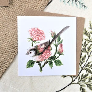 Cartão de felicitações Chapim e Rosa de Cauda Longa - Pássaro de Jardim 5 x 5"