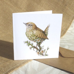 Troglodyte et aubépine - Oiseaux de jardin Carte de vœux 5x5 »
