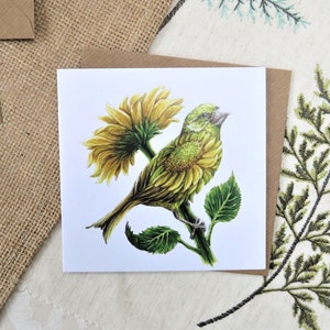 Verdier et Tournesol - Oiseaux de jardin Carte de vœux 5 x 5 »
