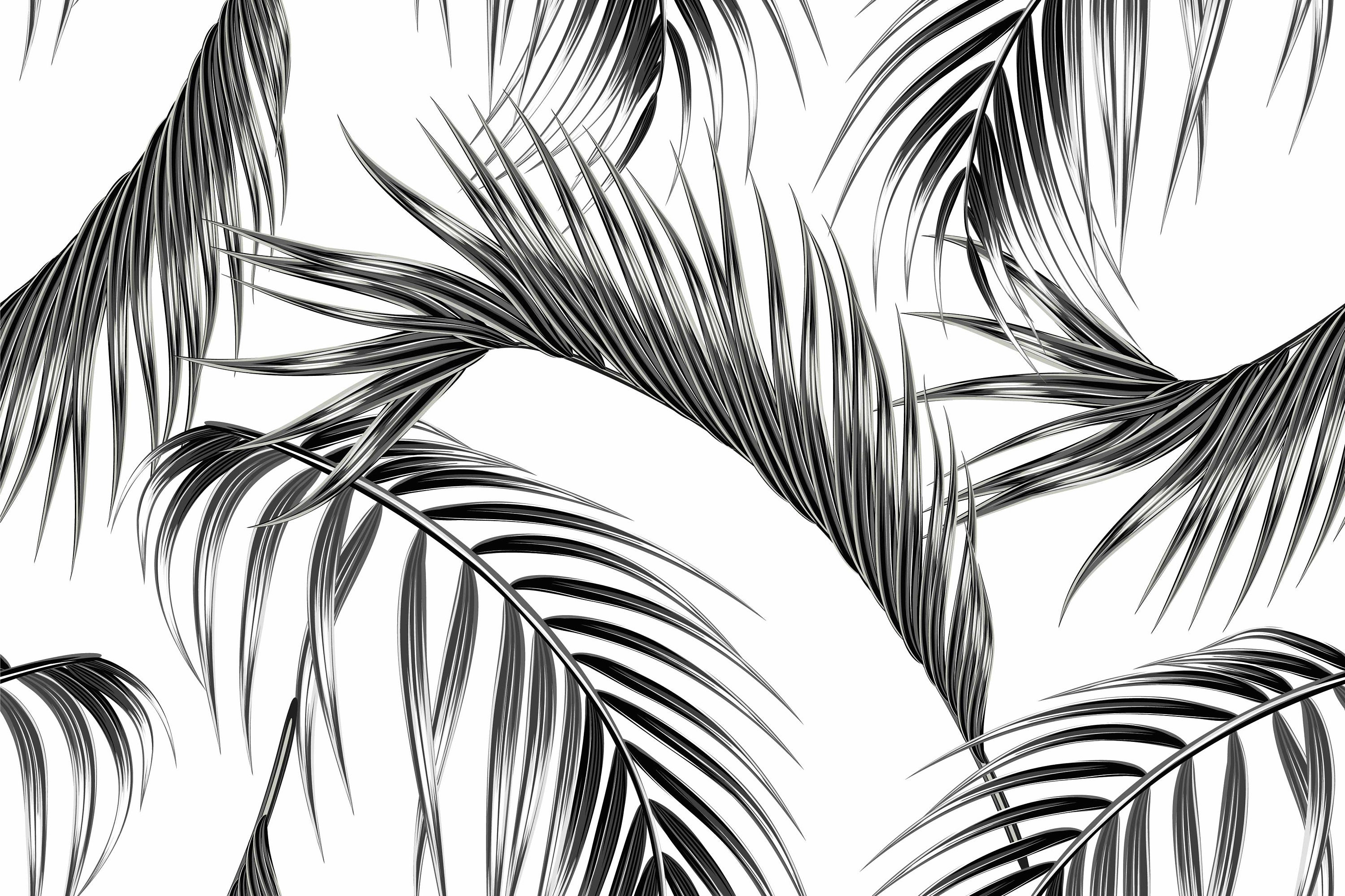 Black and White Palm Leaf Wallpaper Mural – Tropical Scandinavian Peel ...