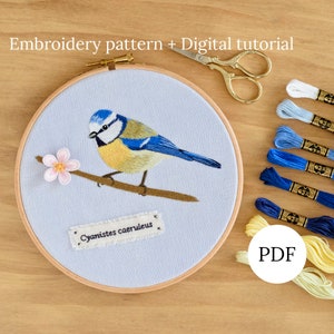 Blue Tit Hand Embroidery Pattern, Bird Needlepainting Tutorial, Flower Stumpwork for Beginners