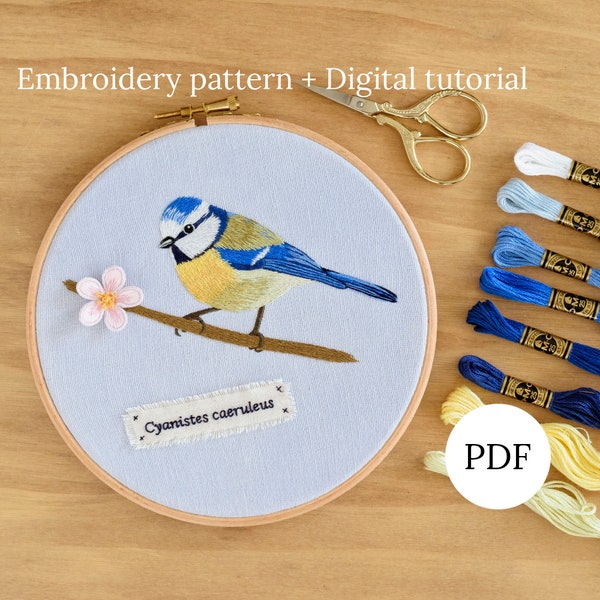 Motif de broderie à la main mésange bleue, tutoriel de peinture à l'aiguille d'oiseau, motif de souche de fleur pour débutants