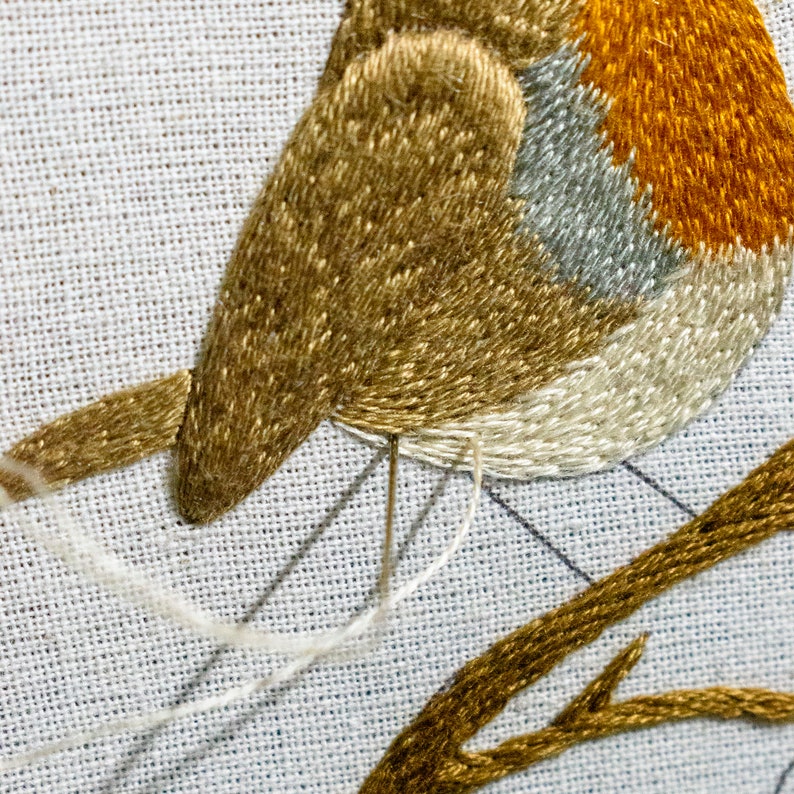 Robin Bird Hand Embroidery PDF Pattern Tutorial Begginer Etsy