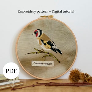 Goldfinch Hand Embroidery Pattern Tutorial, Bird Needlepainting Hoop Art, Thread Painting DIY for Begginers