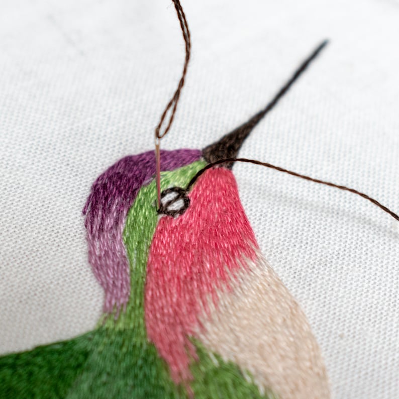 Bird Of Paradise Digital Embroidery Tutorial DIY Hoop Art Etsy