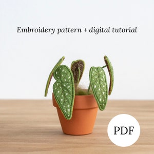 3D Begonia Maculata Stumpwork Pattern, Realistic Hand Embroidery Plant 3D Design, DIY Digital Tutorial for Home Decor