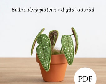 3D Begonia Maculata Stumpwork Pattern, Realistic Hand Embroidery Plant 3D Design, DIY Digital Tutorial for Home Decor